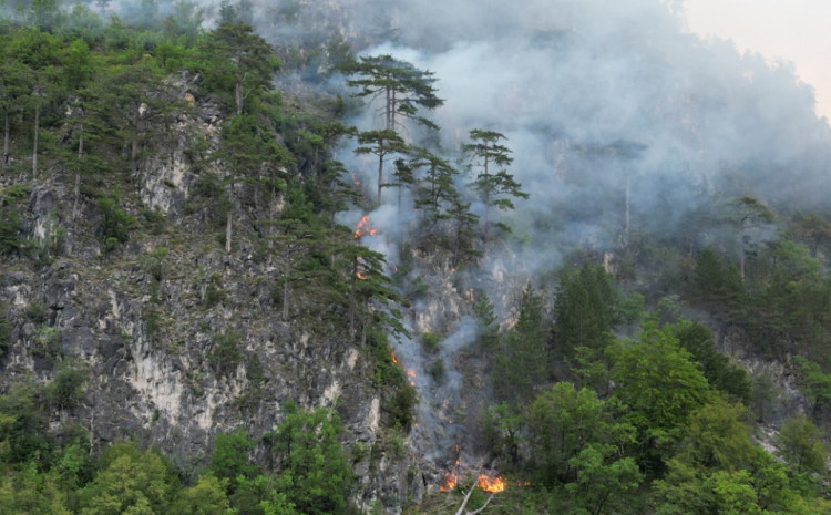 Zatražena pomoć kanadera iz Hrvatske, na terenu i vojnici