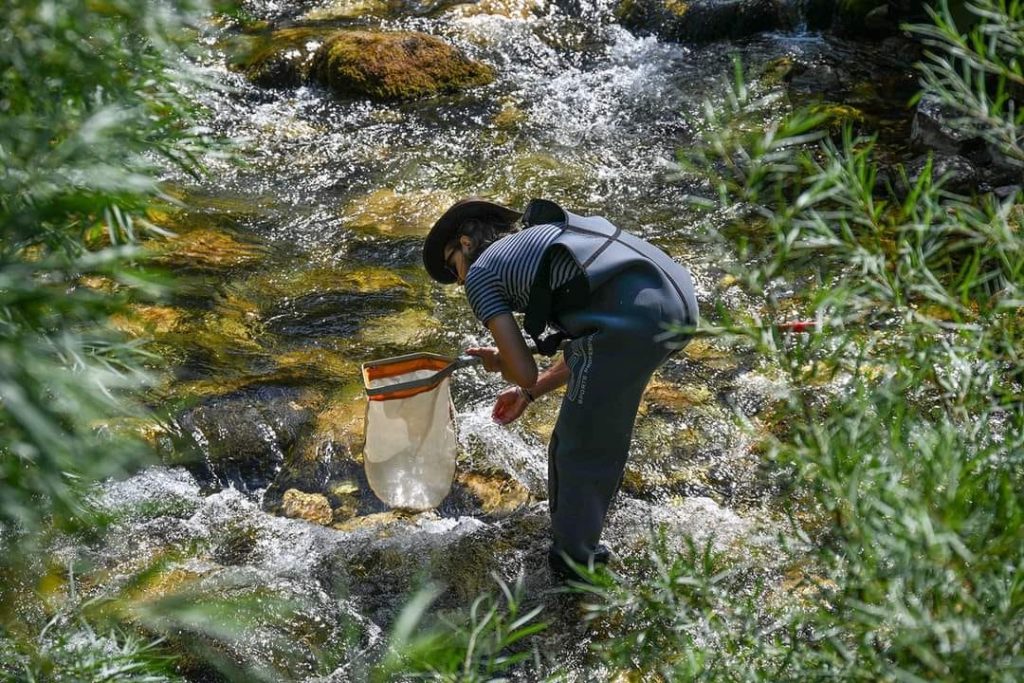 rezultati istraživanja će se koristiti za izradu studije zaštite područja gornjeg toka rijeke neretve ali i njenih izvora