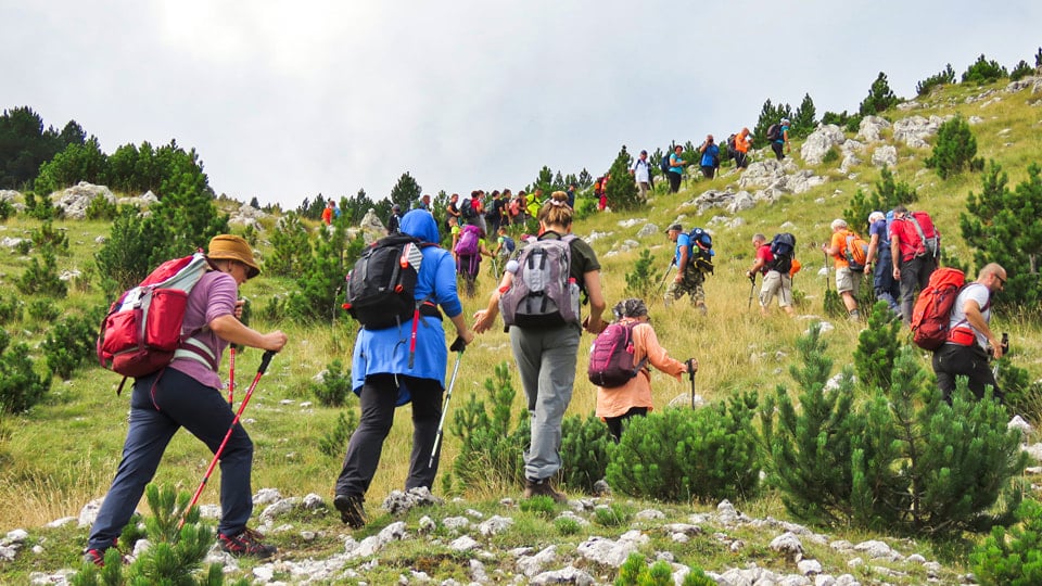 pd borašnica: na v memorijalnom pohodu „suad ribić“ na veliku kapu učestvovalo više od 100 planinara iz bih i hrvatske