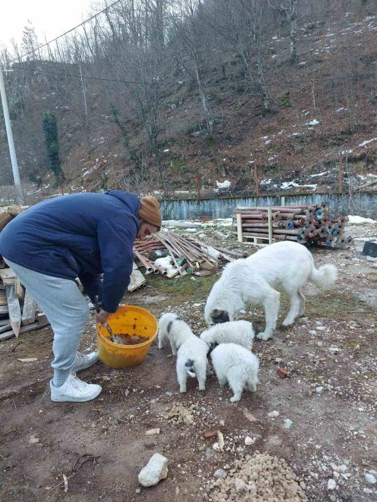 Humani Konjičanin: Almir Širbegović prikuplja hranu za napuštene životinje na Boračkom jezeru