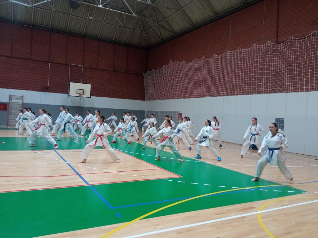 IMG 20241201 141426