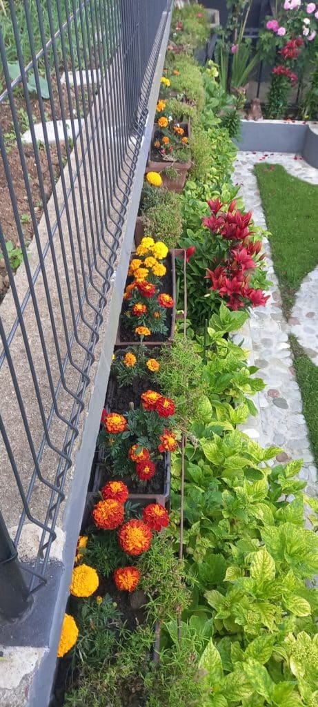 “Majska ruža 2025” – pobjednici akcije Ibro i Meho Hero 11 foto 14