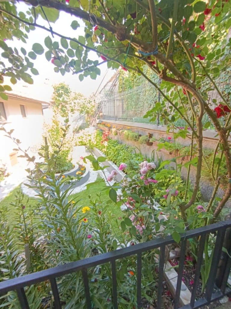 “Majska ruža 2025” – pobjednici akcije Ibro i Meho Hero 13 foto 16