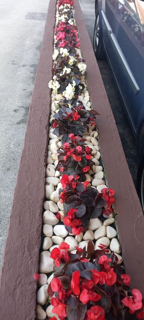 “Majska ruža 2025” – pobjednici akcije Ibro i Meho Hero 15 foto 19