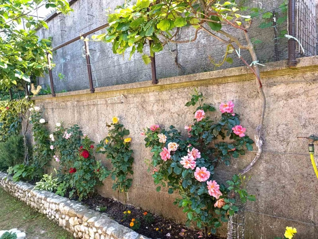 “Majska ruža 2025” – pobjednici akcije Ibro i Meho Hero 7 foto 5