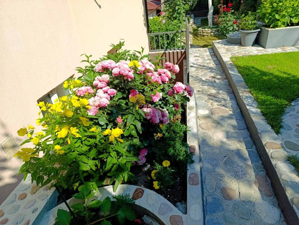 “Majska ruža 2025” – pobjednici akcije Ibro i Meho Hero 8 foto 8