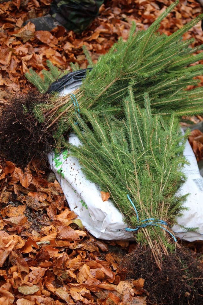 577035211 1316790180246731 8799080595922294465 n 1