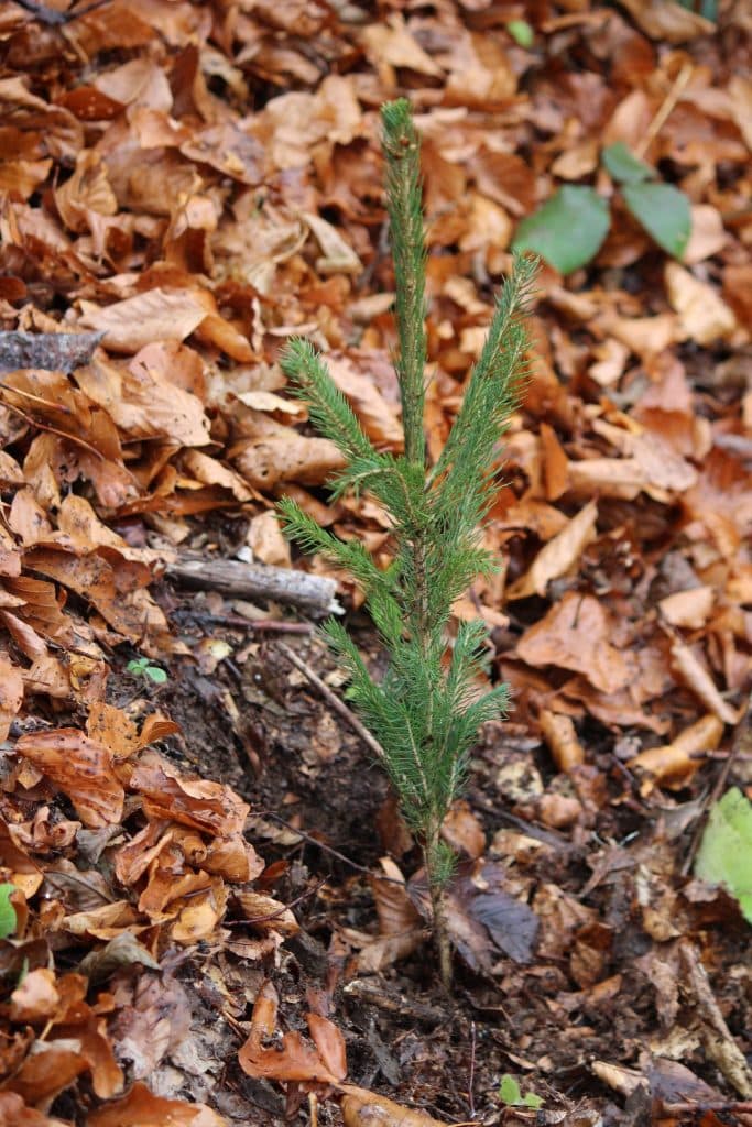 577554654 1316790036913412 8426390129528885737 n 1