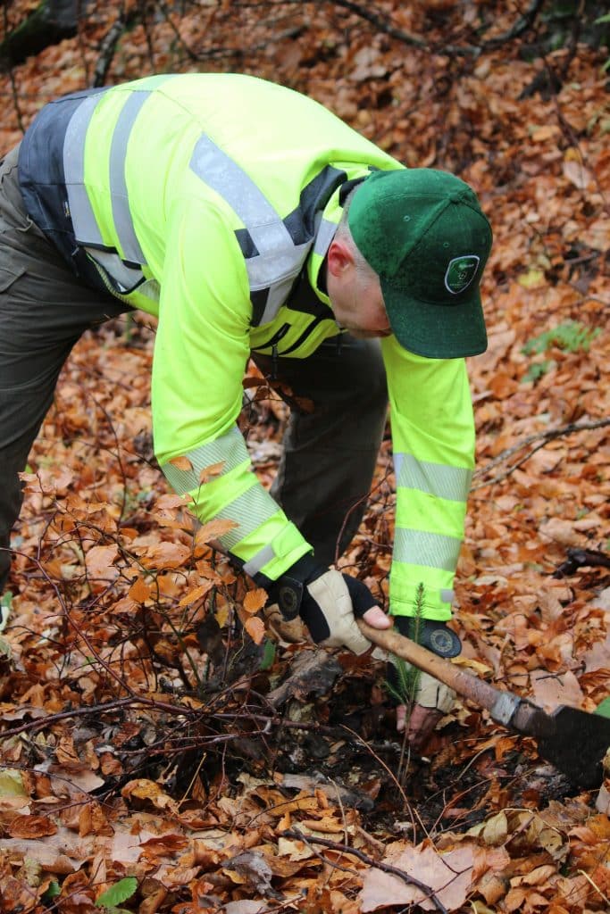 579082473 1316790016913414 4612956564668880256 n