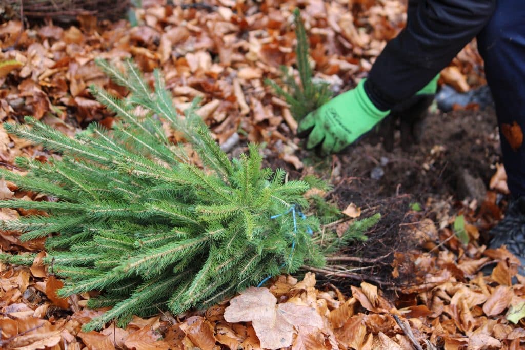 579276077 1316790066913409 8018565262913183369 n