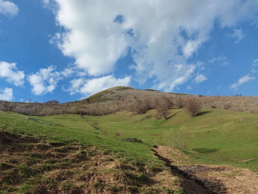 PD Borašnica organizuje izlet na Lisin